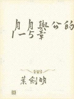 月月与公的激情1一5章