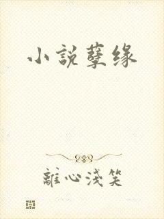 小说孽缘