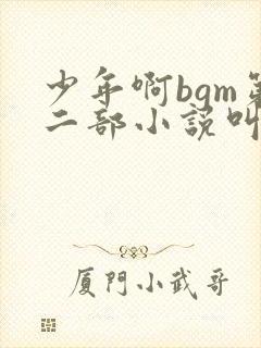 少年啊bgm第二部小说叫什么