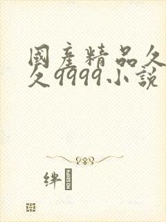 国产精品久久久久9999小说