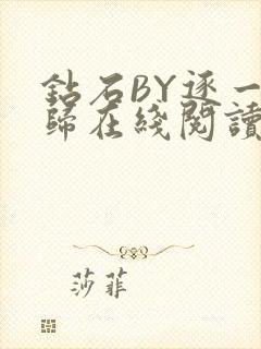 钻石BY逐一而归在线阅读