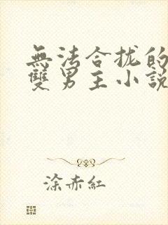 无法合拢的总裁双男主小说