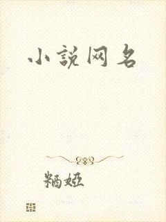 小说网名
