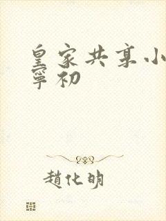 皇家共享小公主宁初