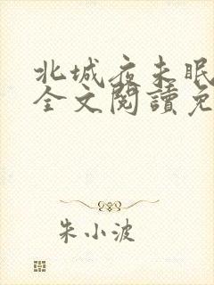 北城夜未眠小说全文阅读免费