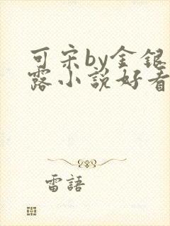 可宋by金银花露小说好看吗