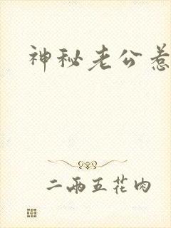 神秘老公惹不起