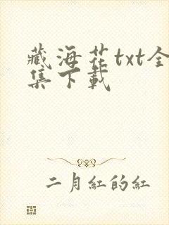 藏海花txt全集下载
