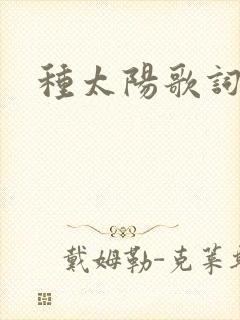 种太阳歌词
