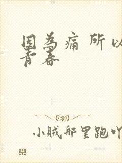 因为痛 所以叫青春