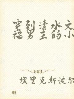 穿到清水文里造福男主的小说
