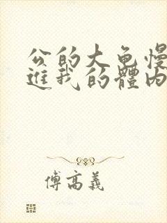 公的大龟慢慢挺进我的体内