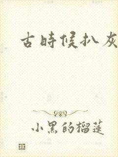 古时候扒灰小说