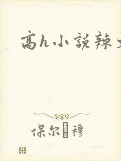 高h小说辣文