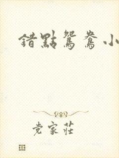 错点鸳鸯小说