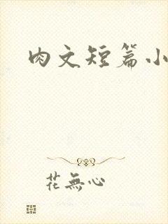 肉文短篇小说