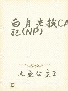 白月光挨CAO记(NP)
