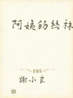 阿姨的丝袜小说