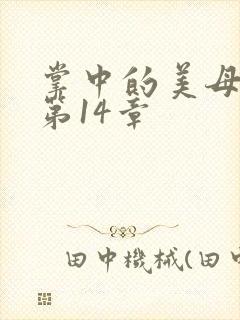 掌中的美母版主第14章