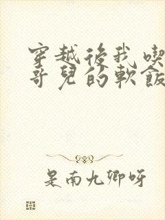 穿越后我吃到了哥儿的软饭炉山灰