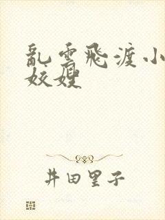 乱云飞渡小说之姣嫂