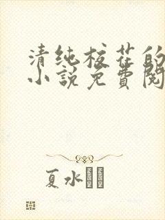 清纯校花的秘密小说免费阅读