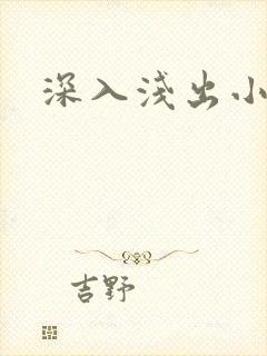 深入浅出小说