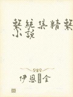 系统集精系统 小说