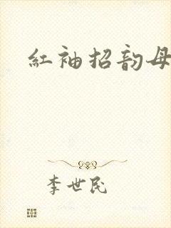 红袖招韵母攻略