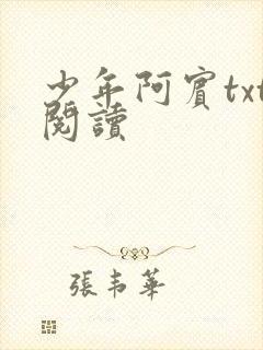 少年阿宾txt阅读