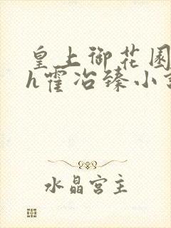 皇上御花园hlh霍冶臻小说