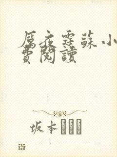 厉夜霆苏小汐免费阅读