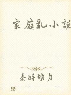 家庭乱小说