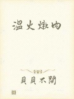 温火炖肉