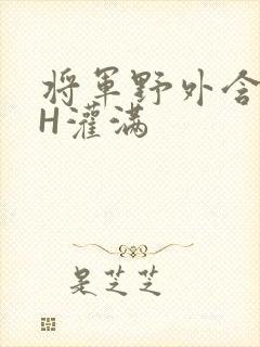 将军野外含公主H灌满