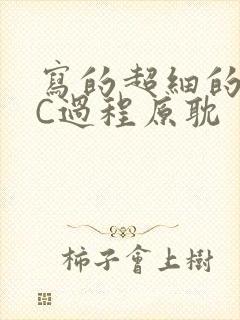 写的超细的多肉C过程原耽