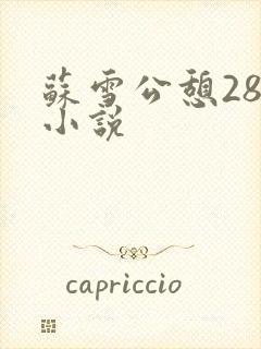 苏雪公憩28篇小说