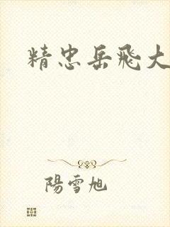 精忠岳飞大结局