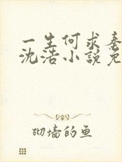 一生何求秦菲雪沈浩小说免费阅读全文