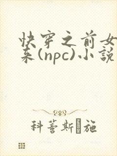 快穿之前女友归来(npc)小说免费阅读