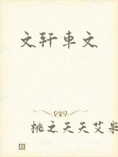 文轩车文