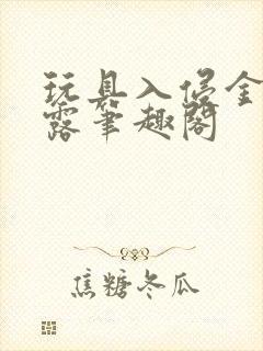 玩具入侵金银花露笔趣阁