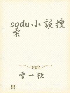 sodu小说搜索