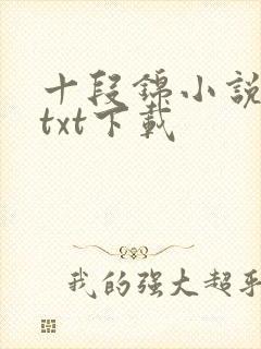十段锦小说全本txt下载