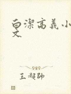 白洁高义小说全文