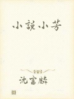 小说小芳