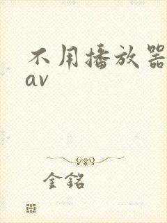 不用播放器的gav