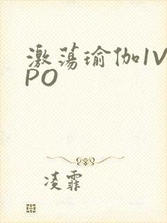 激荡瑜伽1V2PO