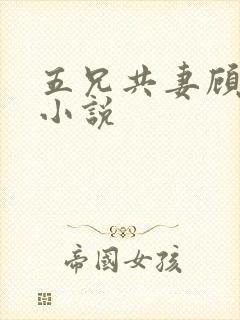 五兄共妻顾心儿小说