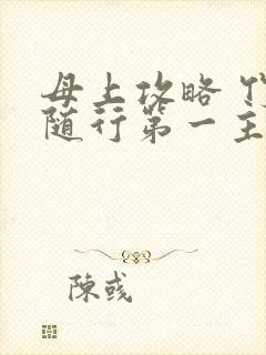 母上攻略 竹影随行第一主板